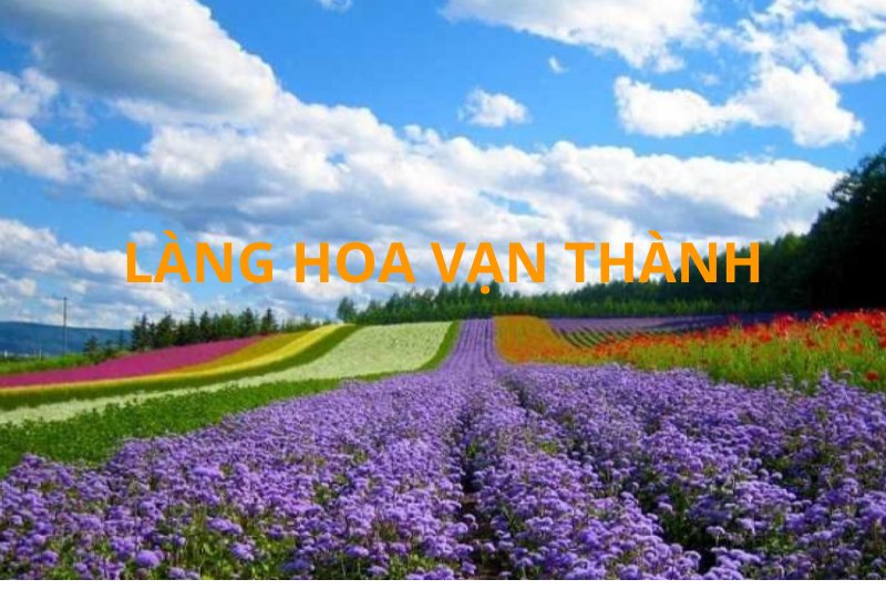 khám phá làng Hoa Vạn Thành
